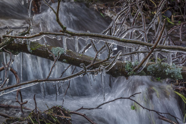 eisskulptur am bach - (c) k eutebach.jpg